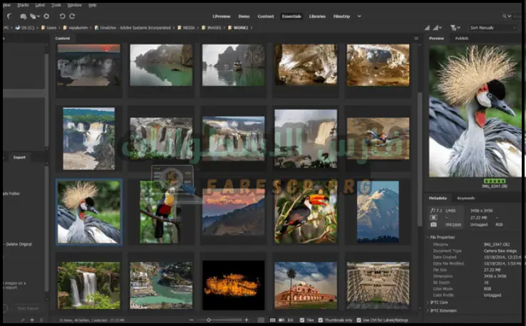 تحميل Adobe Bridge CC 2021