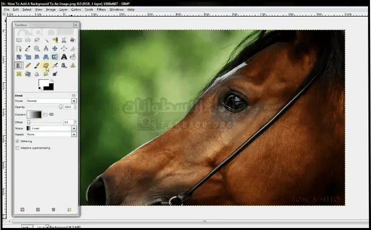 صفحة تنزيل برنامج GIMP تحتوي على الشعار وزر تنزيل بارز